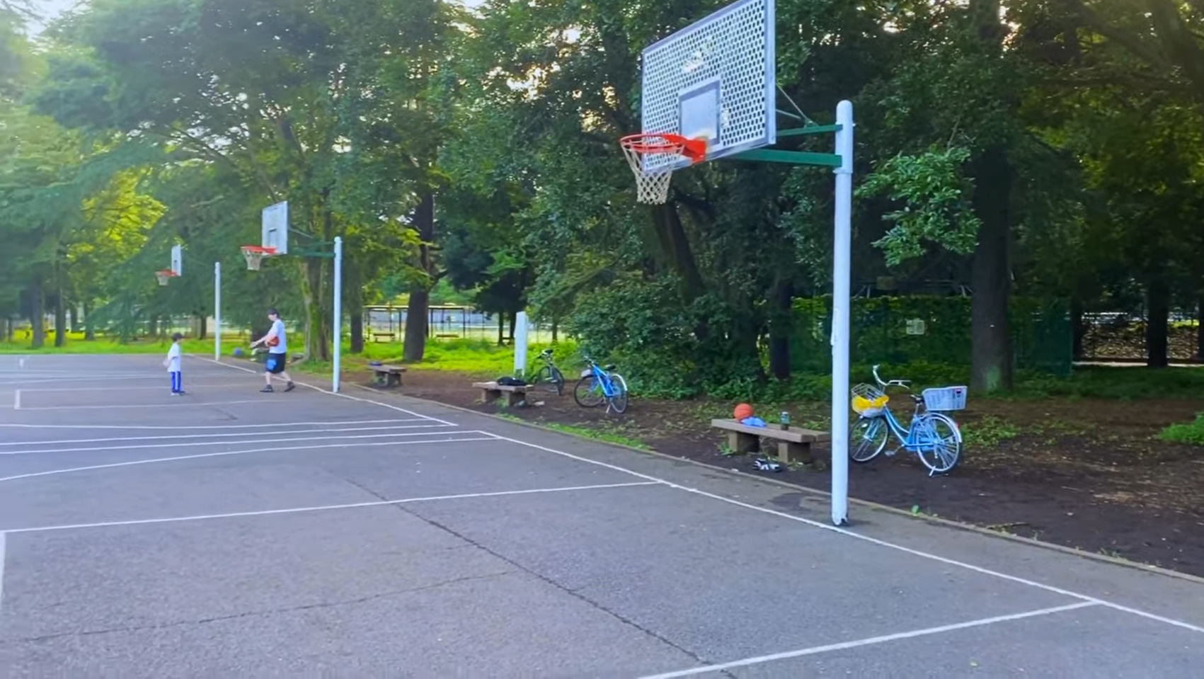 小金井 公園 バスケット コート