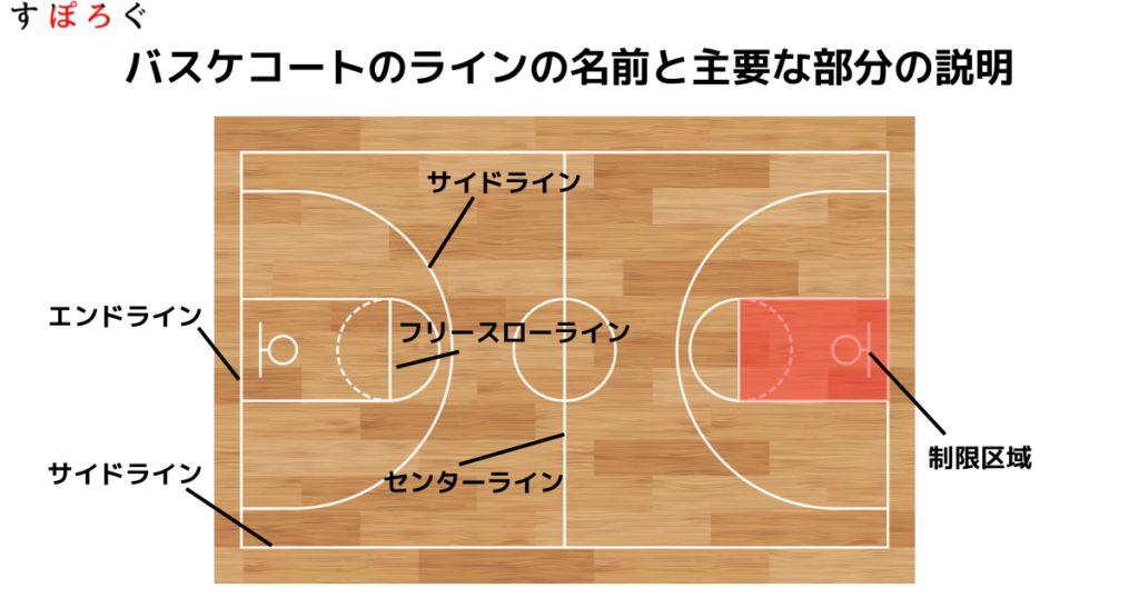 バスケコートのラインの名前と各エリアの機能