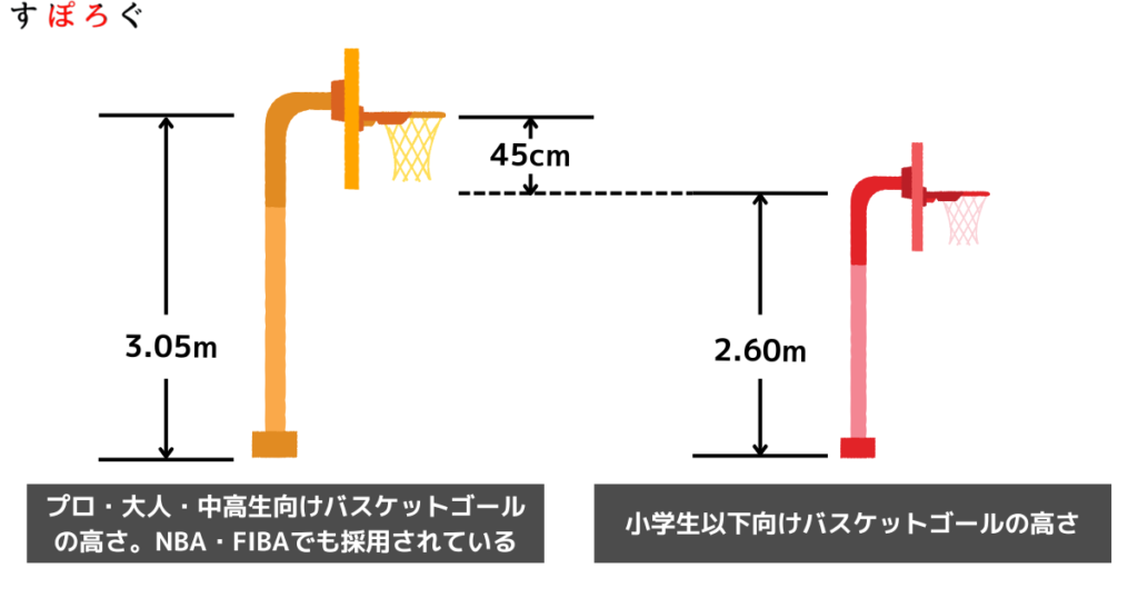 バスケットゴールの標準的な高さと各カテゴリーでの違い